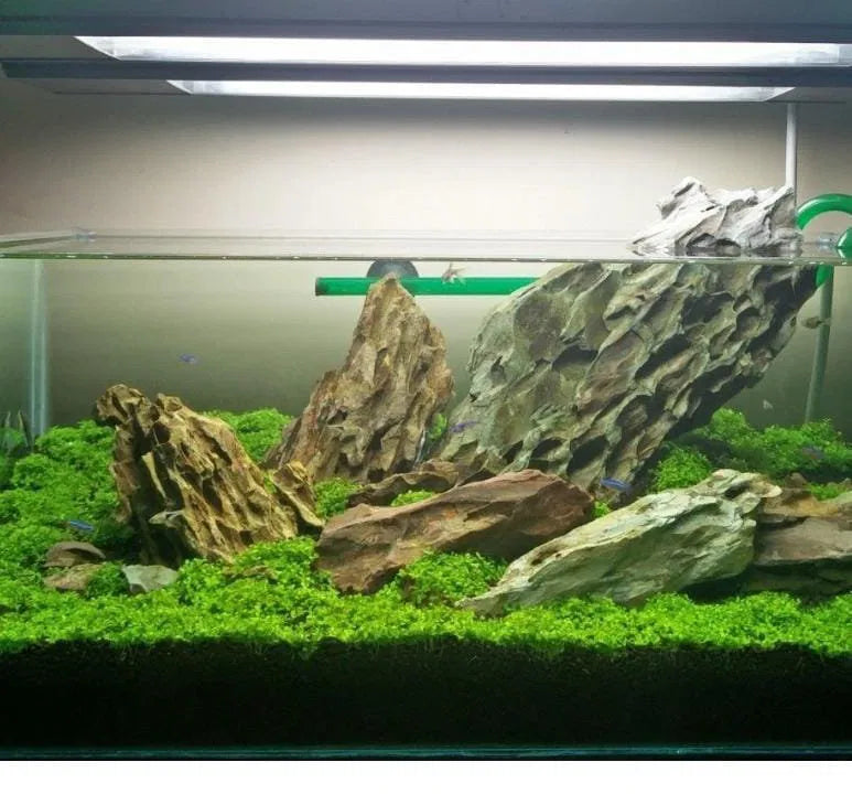 Aquarium Dragon Rock (1kg)