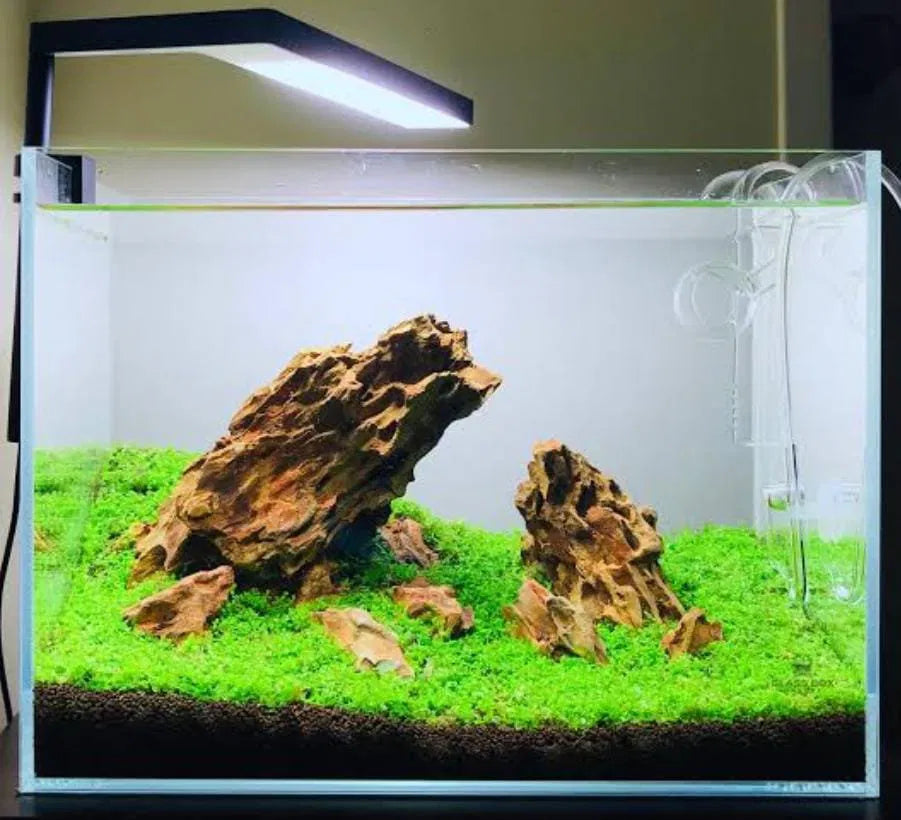 Aquarium Dragon Rock (500g)