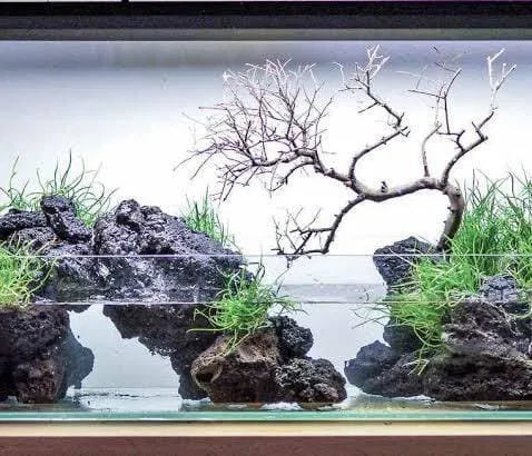 Aquarium Black Lava Rock (500g)