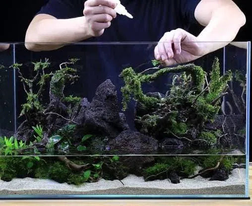 Aquarium Black Lava Rock (1kg)